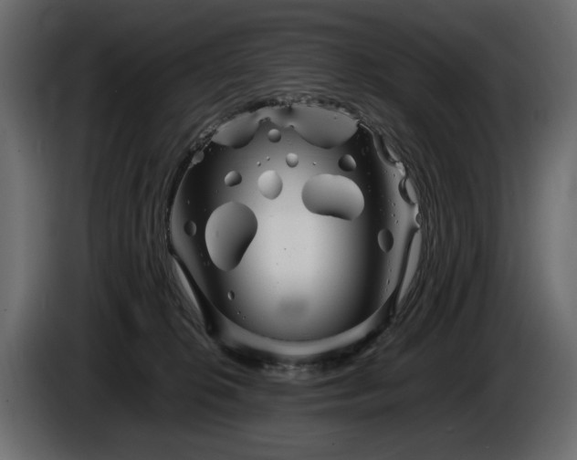 X0000085830276200703231427