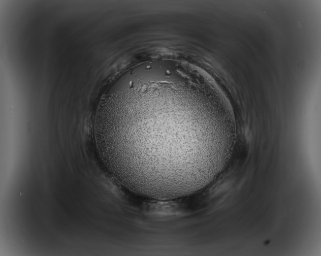 X0000085830277200703231427