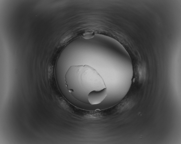 X0000085830278200703231427