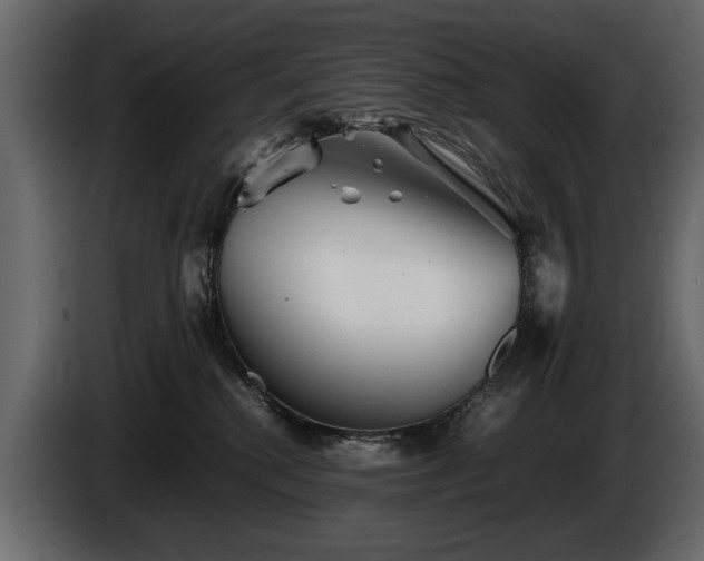 X0000085830280200703231427