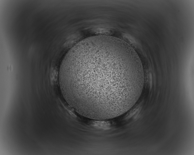 X0000085830281200703231427