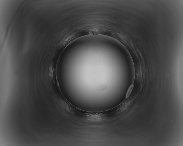 X0000085830282200703231427