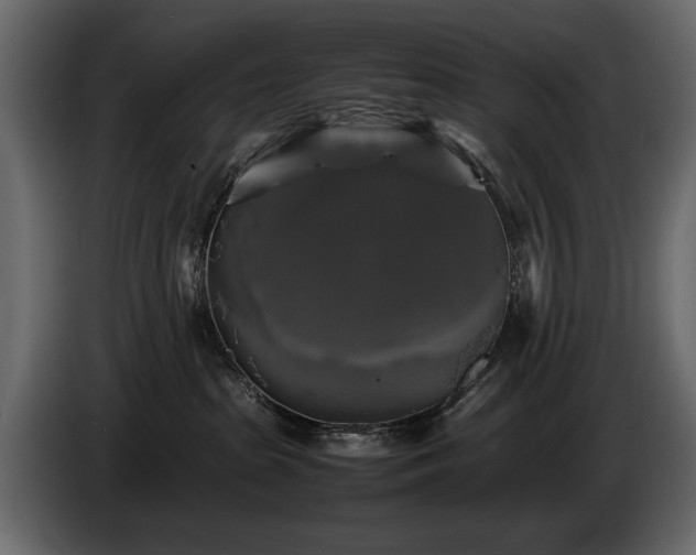 X0000085830285200703231427