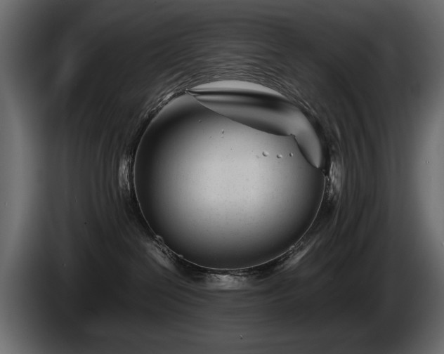 X0000085830286200703231427