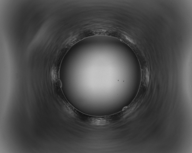 X0000085830287200703231427