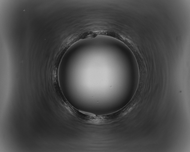 X0000085830288200703231427