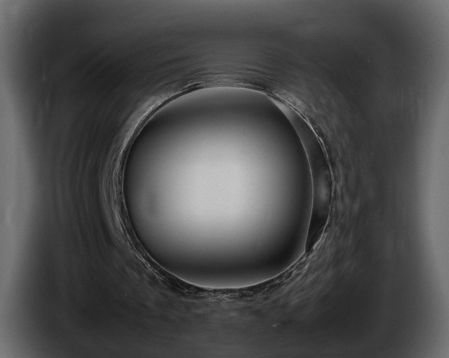 X0000085830289200703231426