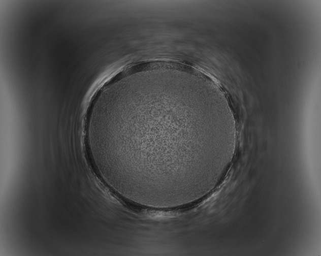 X0000085830293200703231426