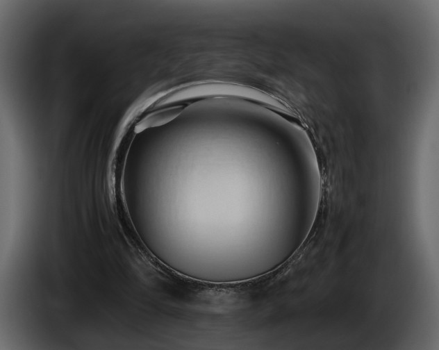 X0000085830294200703231426