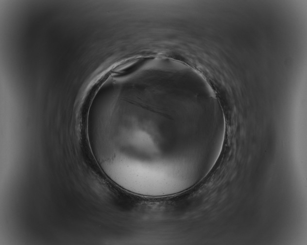 X0000085830295200703231426