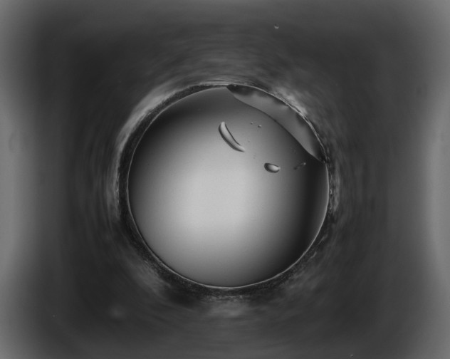 X0000085830296200703231426