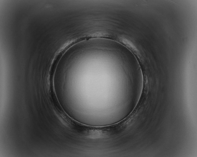 X0000085830298200703231426