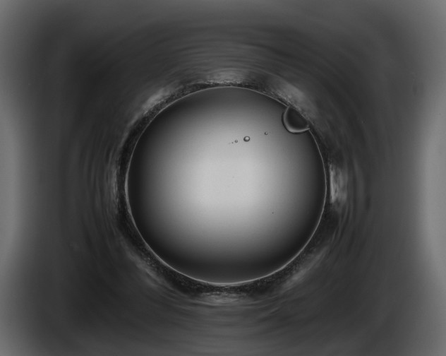 X0000085830300200703231426