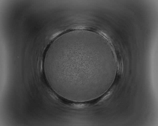 X0000085830301200703231426