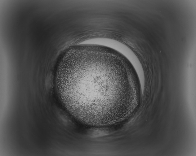 X0000085830303200703231426