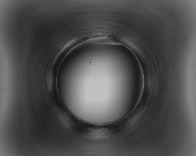 X0000085830304200703231426