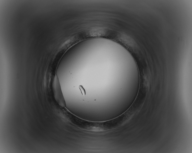 X0000085830308200703231426