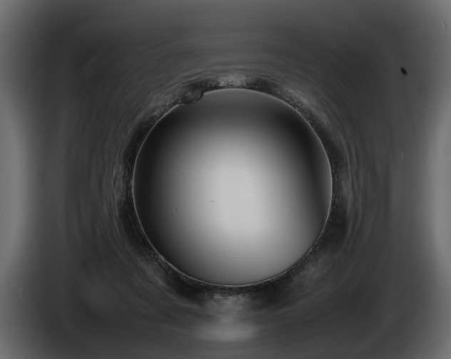 X0000085830311200703231426