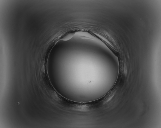 X0000085830313200703231426