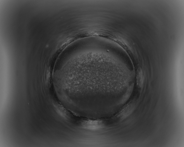 X0000085830314200703231426