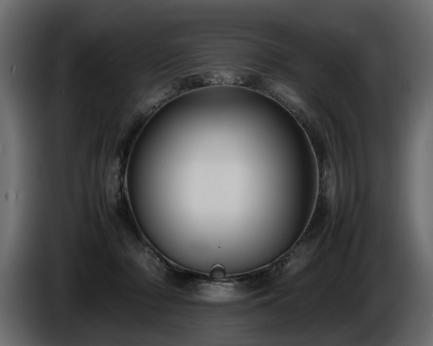 X0000085830318200703231426