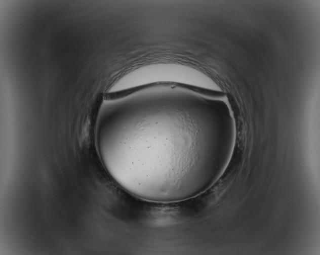 X0000085830319200703231426