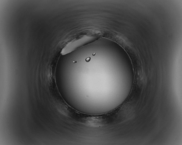 X0000085830320200703231426