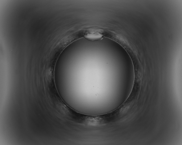 X0000085830321200703231426