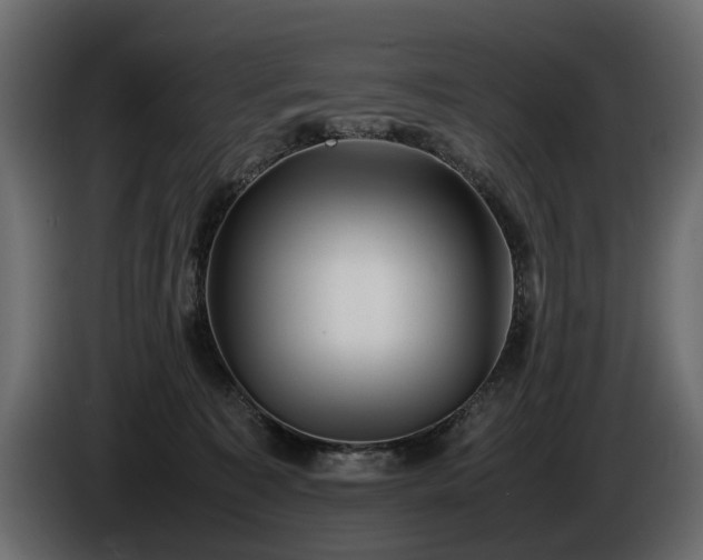 X0000085830323200703231426