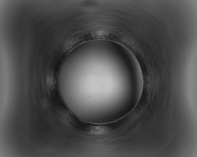 X0000085830324200703231426