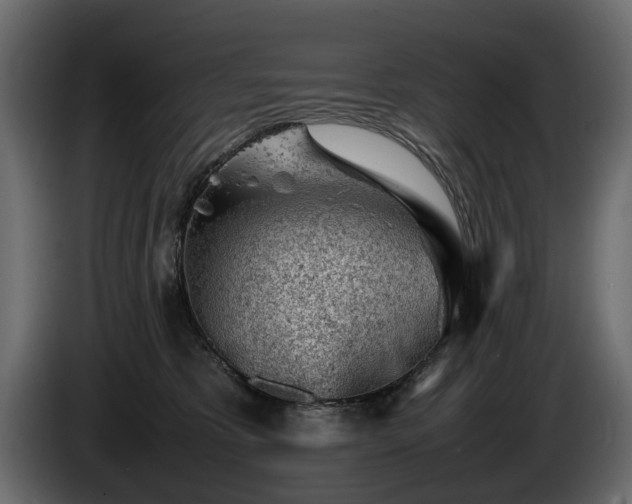 X0000085830325200703231426