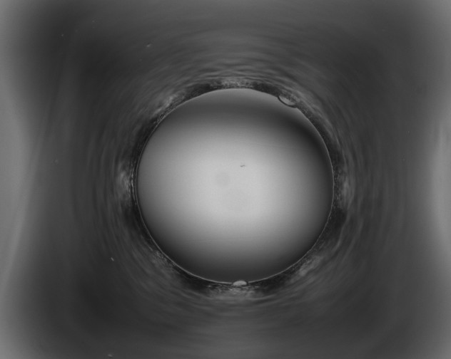 X0000085830329200703231426