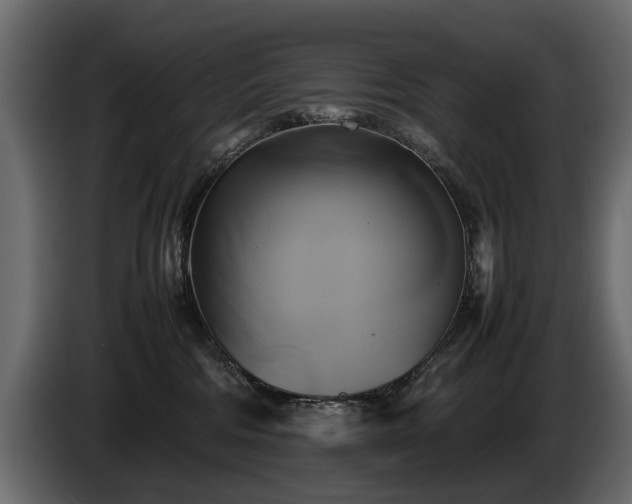 X0000085830330200703231426