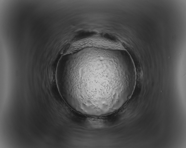 X0000085830331200703231426