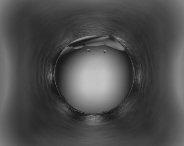 X0000085830334200703231426