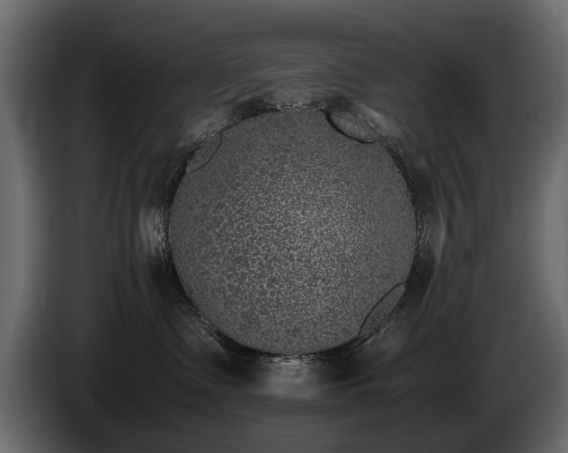 X0000085830335200703231426