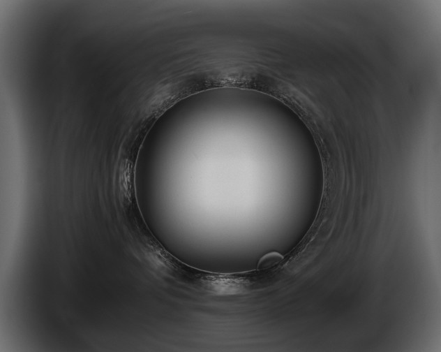 X0000085830336200703231426