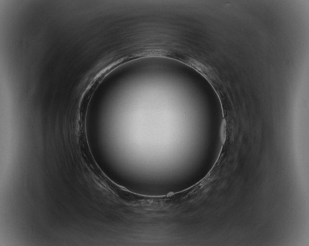 X0000085830338200703231425