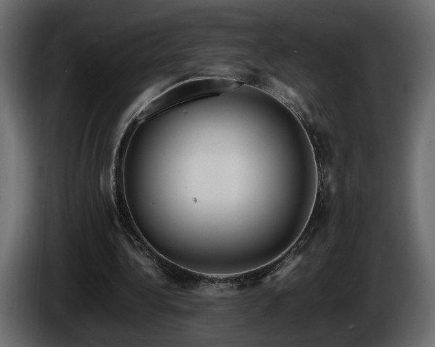 X0000085830340200703231425