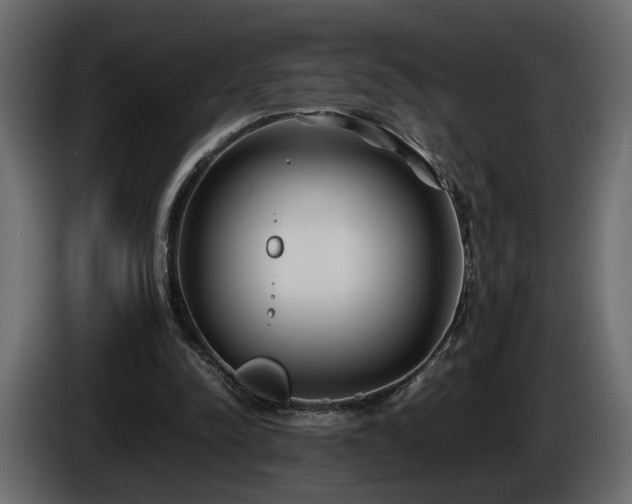 X0000085830342200703231425