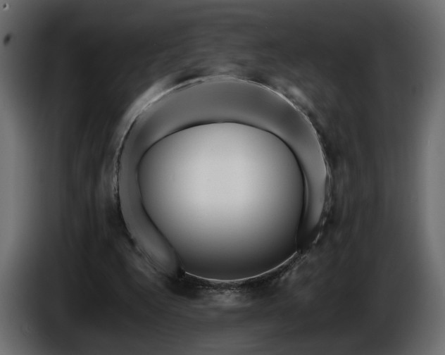 X0000085830344200703231425