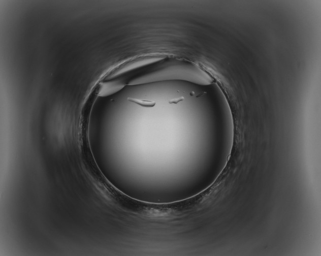 X0000085830346200703231425