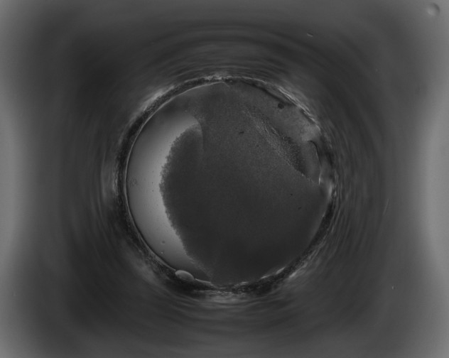 X0000085830347200703231425