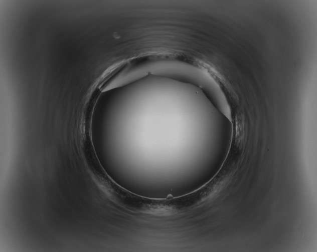 X0000085830348200703231425