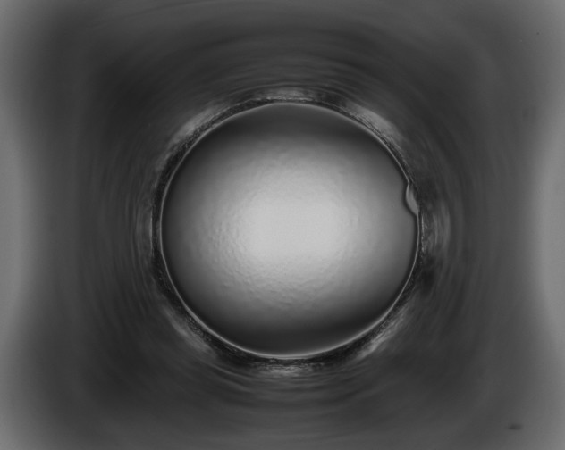 X0000085830349200703231425