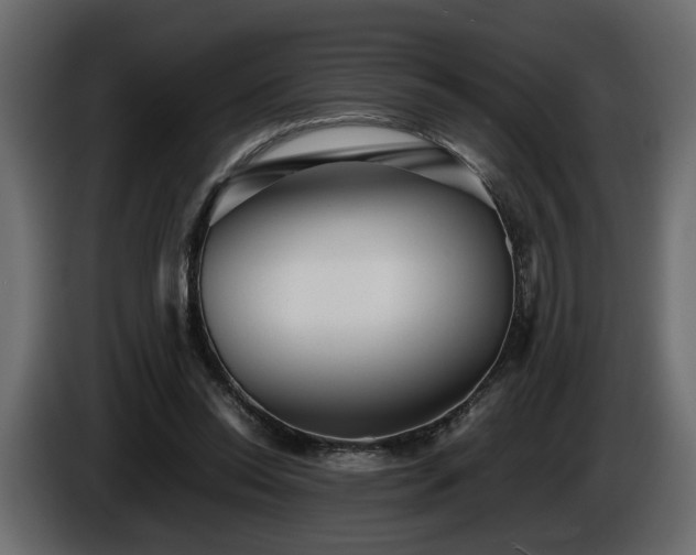 X0000085830350200703231425