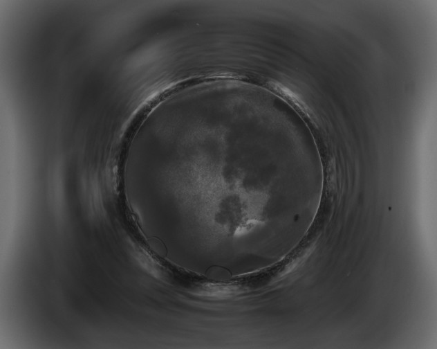 X0000085830351200703231425