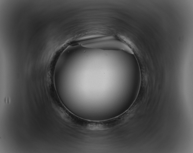 X0000085830354200703231425