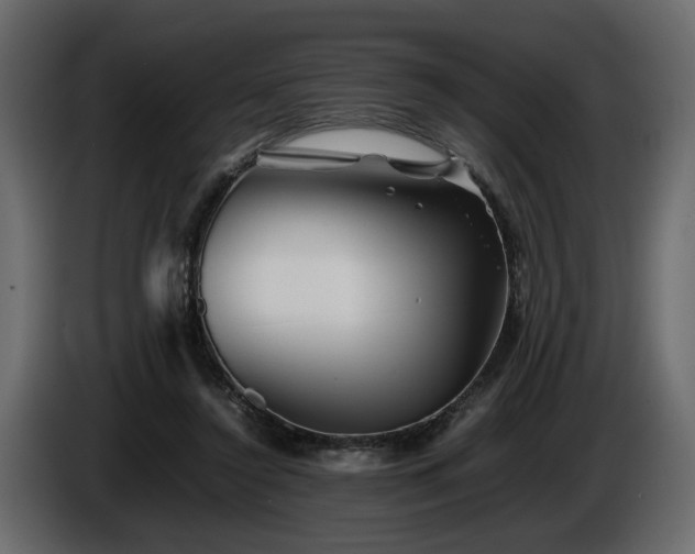 X0000085830356200703231425