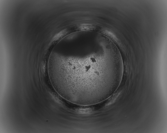 X0000085830357200703231425